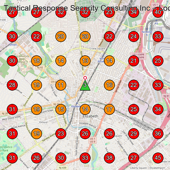 Tactical Response Security Consulting Inc GeoGrid visibility map for Security Guard Service in Union